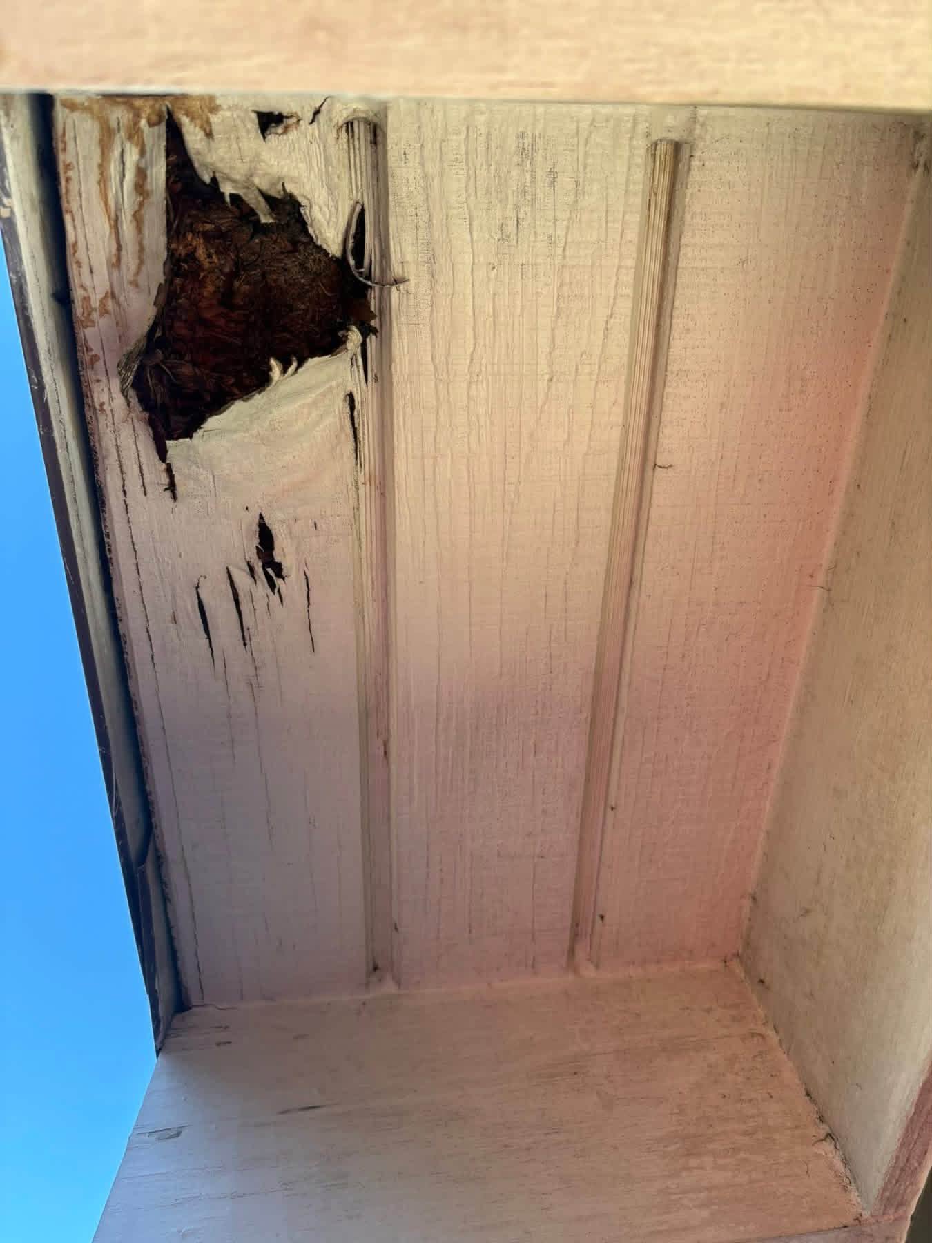 Rot-damaged exterior panel beneath a roof overhang before restoration