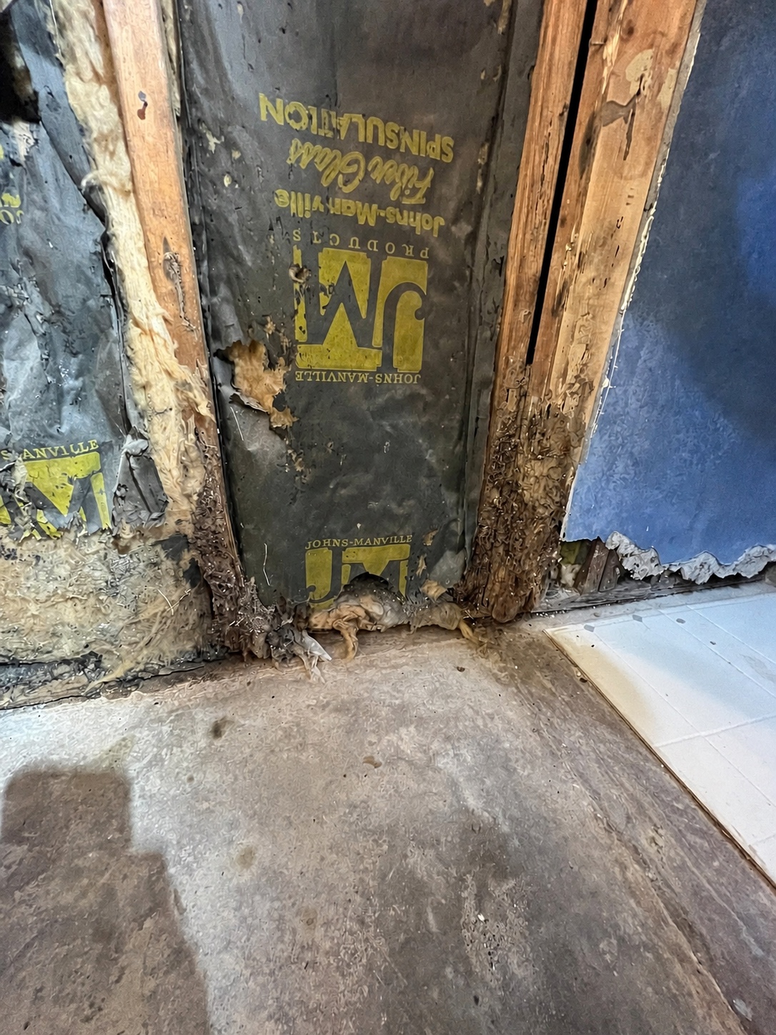Water-damaged lower wall framing and sheathing exposed during demolition